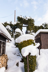 雪地花园