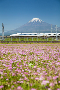 富士山和东海道新干线