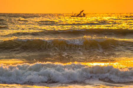 阳光 夏天 太阳 地平线 海岸 傍晚 早晨 海景 美丽的