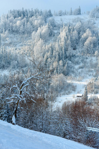 斜坡 天空 冬天 旅行 冷杉 谷仓 森林 乌克兰 小山 旅游业