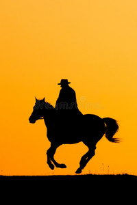 自然 帽子 母马 国家 骑手 领域 早晨 风景 动物 黎明