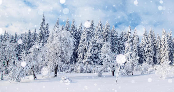 寒冷的 闪烁 风景 眨眼 圣诞节 招呼 闪耀 雪花 假日