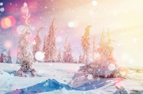 要素 喀尔巴阡山 假日 寒冷的 庆祝 魔术 闪烁 招呼 风景