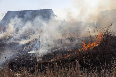 干草着火了