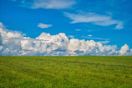 空旷的田野里有青草和云彩