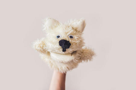 儿童 手套 幻想 快乐 动物 童年 手工制作的 面对 艺术