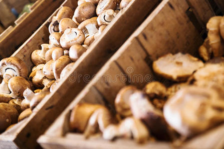 饮食 自然 篮子 美食家 木耳 真菌 栽培 领域 市场 食物