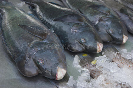 海鲜市场上的鲜鱼