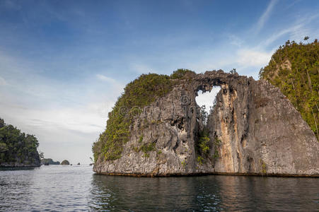 美丽的 石灰石 巴布亚 珊瑚礁 海湾 风景 海滩 棕榈 标准