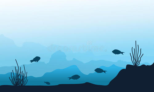 海洋 珊瑚 世界 环境 插图 动物 水族馆 卡通 海的 暗礁