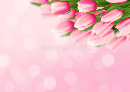 粉红色背景上的郁金香花束，有留言的空间。 瓦尔