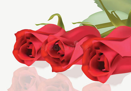 生日 美女 花瓣 花束 复古的 植物 轮廓 周年纪念日 插图