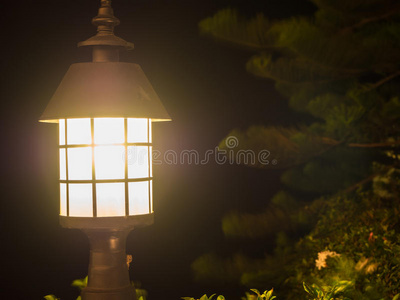 冬天 蜡烛 灯笼 季节 场景 自然 窗口 花园 松木 傍晚