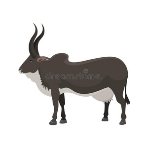公牛农场动物雄性站立矢量插图。
