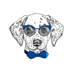 美丽的达尔马提亚手绘。 卡片或海报的矢量插图，打印在衣服上。 戴眼镜戴领带的可爱狗。 佩蒂