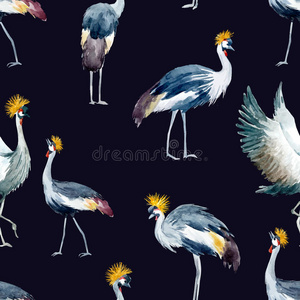 家禽 羽毛 波峰 收集 动物 亚洲 时尚 艺术 起重机 自然