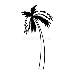 旅行 棕榈 要素 夏天 假日 植物 海洋 插图 签名 假期