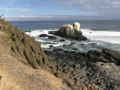 海滨 岩石 石头 飞利浦 摇滚乐 海岸 自然 岬角 海角