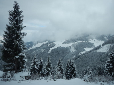 布鲁 天空 围裙 集团 求助 风景 阿尔卑斯山 岩石 滑雪