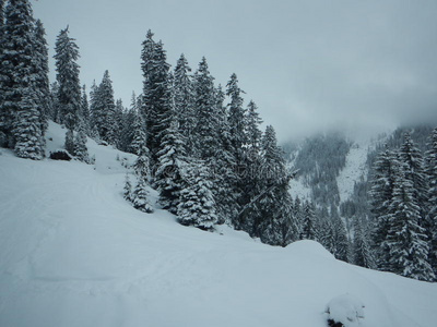 享受 希梅尔 围裙 风景 集团 全景图 阿尔卑斯山 滑雪旅行