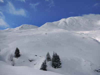 全景图 技巧 奥地利 寒冷的 求助 围裙 布鲁 滑雪旅行