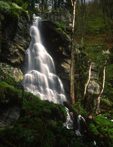 波拉纳 自然 森林 夏天 旁观者 瀑布 公园 斯洛伐克语