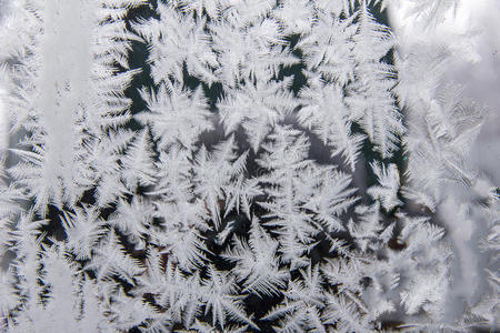 特写镜头 雾凇 冷冰冰的 晶体 模式 金属 冻结 自然 冰柱