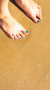 女人 自然 太阳 海滩 假期 静脉 夏天 水下 海洋 旅行