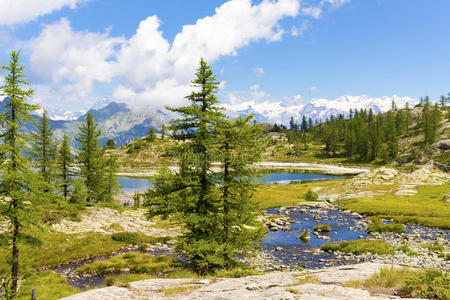 高山景观