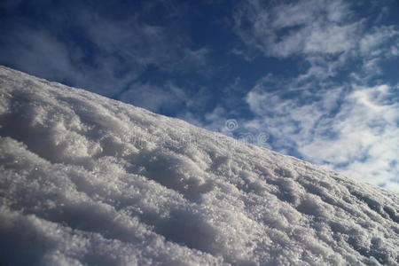 斜坡 阴影 美女 回旋 公司 寒冷的 滑雪 下坡 阿尔卑斯山