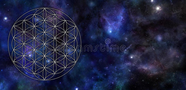 宇宙花图片 宇宙花素材 宇宙花插画 摄图新视界 宇宙花图片 宇宙花素材 宇宙花插画 摄图新视界