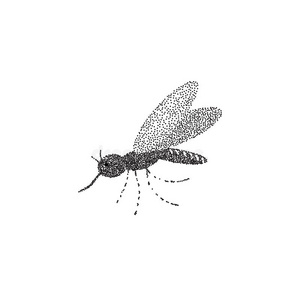 丝虫病 脑炎 发烧 伊蚊 插图 危险的 卡通 蚊虫 偶像