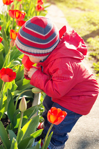 幸福 可爱的 男孩 美丽的 花园 小孩 帽子 体育课 家庭