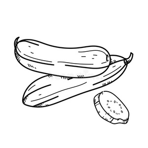 徒手绘制插图黄瓜。