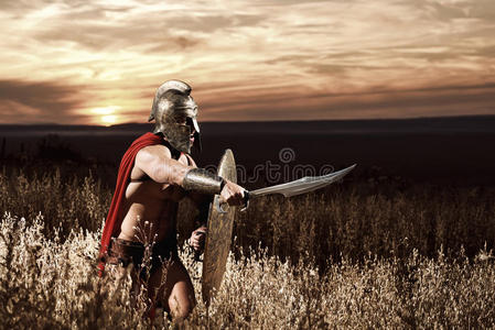 年轻角斗士无畏的年轻斯巴达战士在田野里摆姿势照片