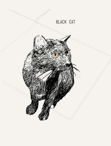黑猫坐着，手画素描线艺术，插图。