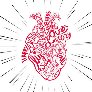 手绘素描解剖心脏。 刻字涂鸦矢量插图。 心脏形状的许多灵感