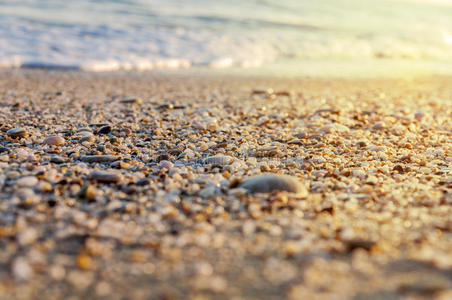 大洋洲 风景 季节 卵石 海景 崎岖不平 砾石 物体 自然地