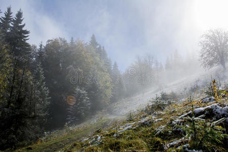 波希米亚 丘陵 喀尔巴阡山 早晨 风景 颜色 闪闪发光 黎明