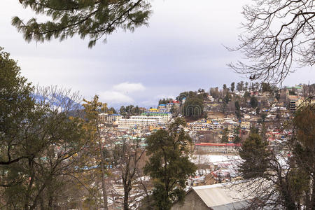 花园 徒步旅行 加利亚 骆驼 小山 背包客 布鲁斯 连接