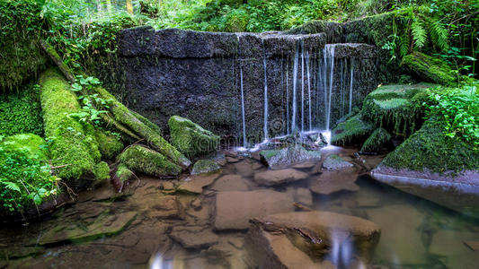 旅行 夏天 美女 自然 美丽的 岩石 德国 木材 植物 公园