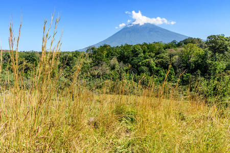 阿瓜火山，林地和草地