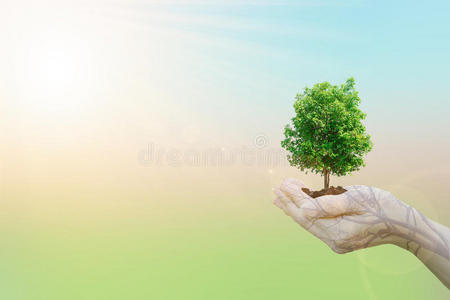 双曝光生态概念人类手握大树