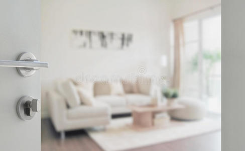 家具 休息室 波基 旋钮 公寓 窗帘 生活 沙发 家庭 活的