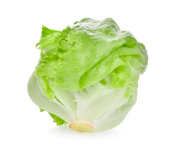 白色的绿色冰山生菜照片