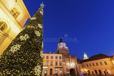 克拉科夫斯基 傍晚 街道 城市 波兰 黎明 圣诞节 日落