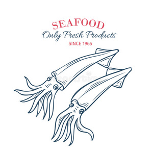 鱿鱼图标手绘鱿鱼图标.照片