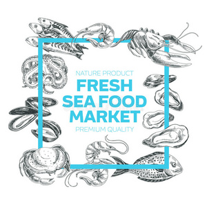 食物 绘画 市场 框架 厨房 艺术 菜单 美味的 章鱼 插图