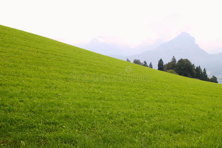 农场 草坪 草地 奥地利 自然 植物 旅行 小山 秋天 圣沃尔夫冈