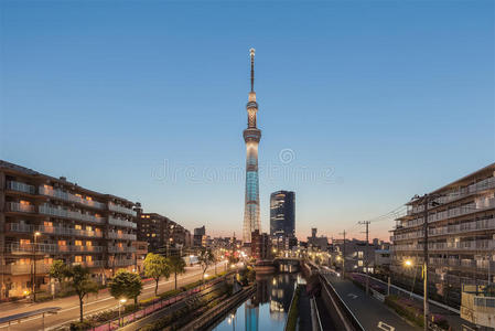 大都市 地标 美丽的 城市 日本人 风景 市中心 东京 暮光